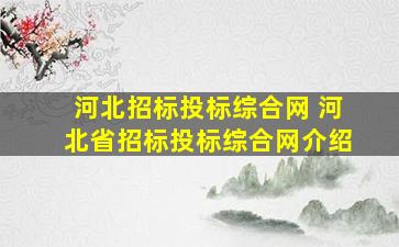 河北招标投标综合网 河北省招标投标综合网介绍